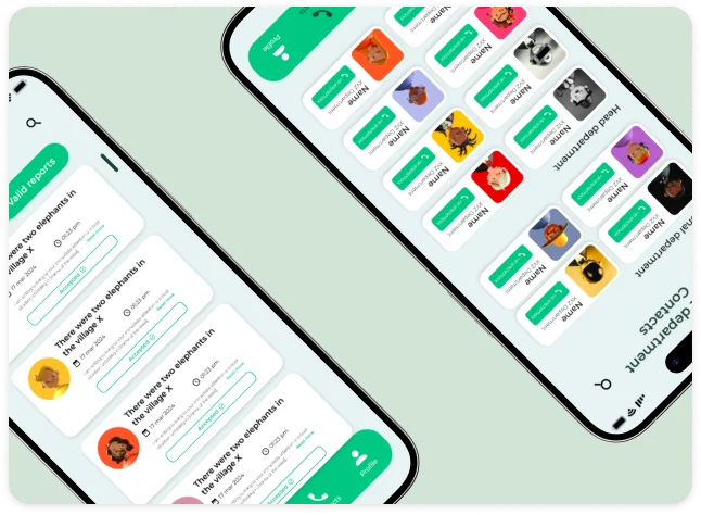 About the project